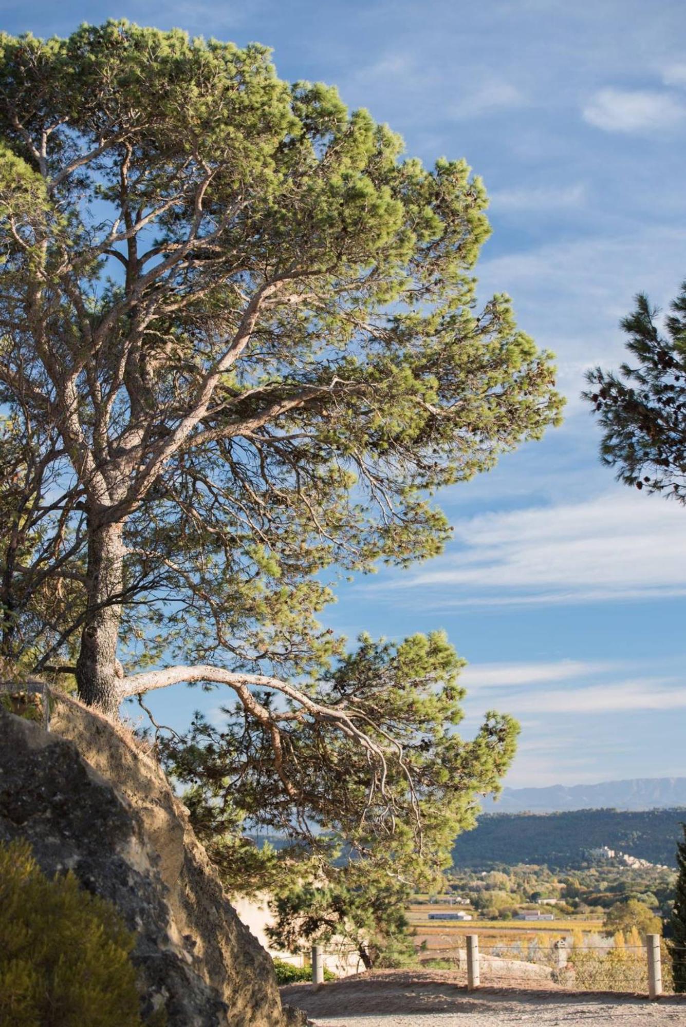 Charmante Maison De Village Au Coeur Du Luberon Cucuron Buitenkant foto